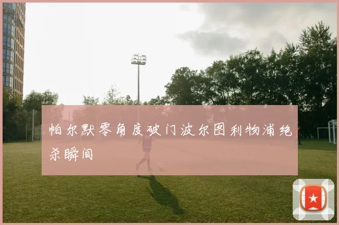 帕尔默零角度破门波尔图利物浦绝杀瞬间