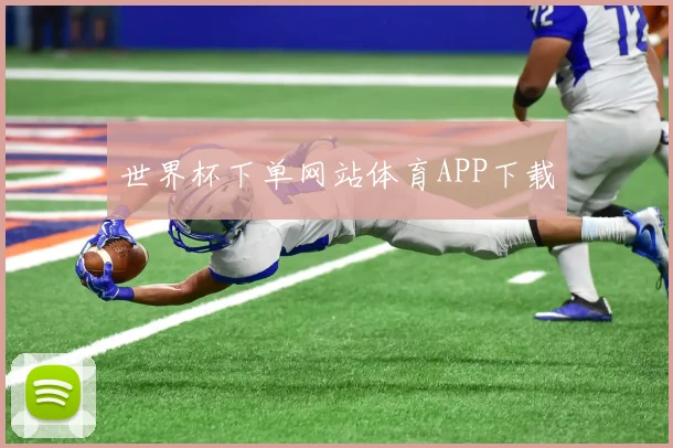 世界杯下单网站体育APP下载