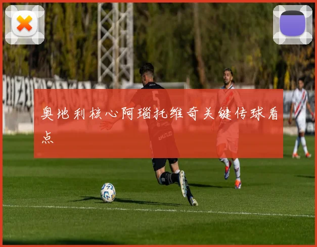 奥地利核心阿瑙托维奇关键传球看点