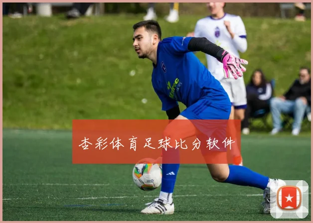 杏彩体育足球比分软件