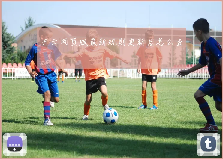 开云网页版最新规则更新后怎么查