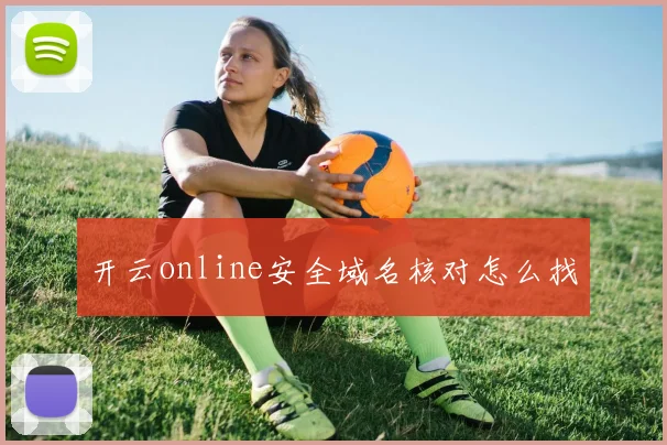 开云online安全域名核对怎么找